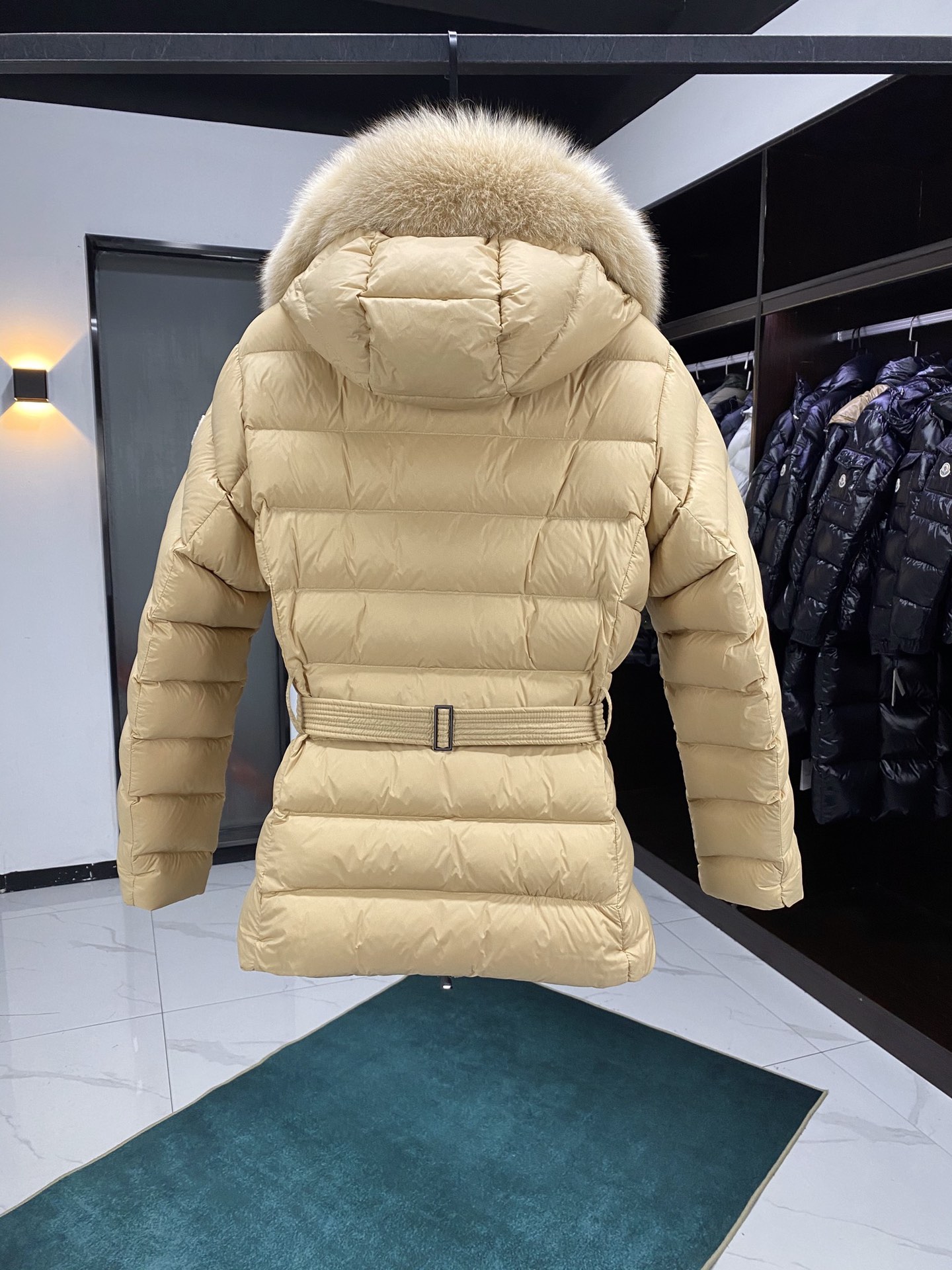 Moncler Down Jackets